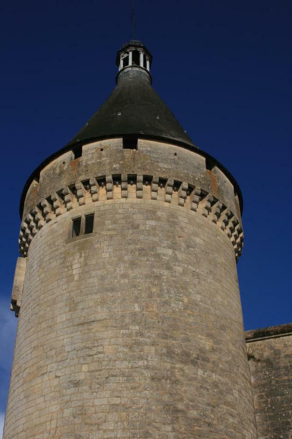Quai Souchet Villa Libourne Dış mekan fotoğraf