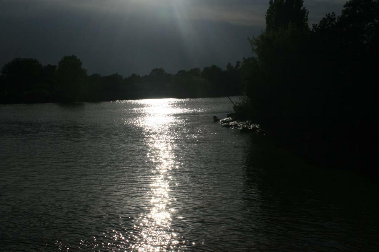 Quai Souchet Villa Libourne Dış mekan fotoğraf